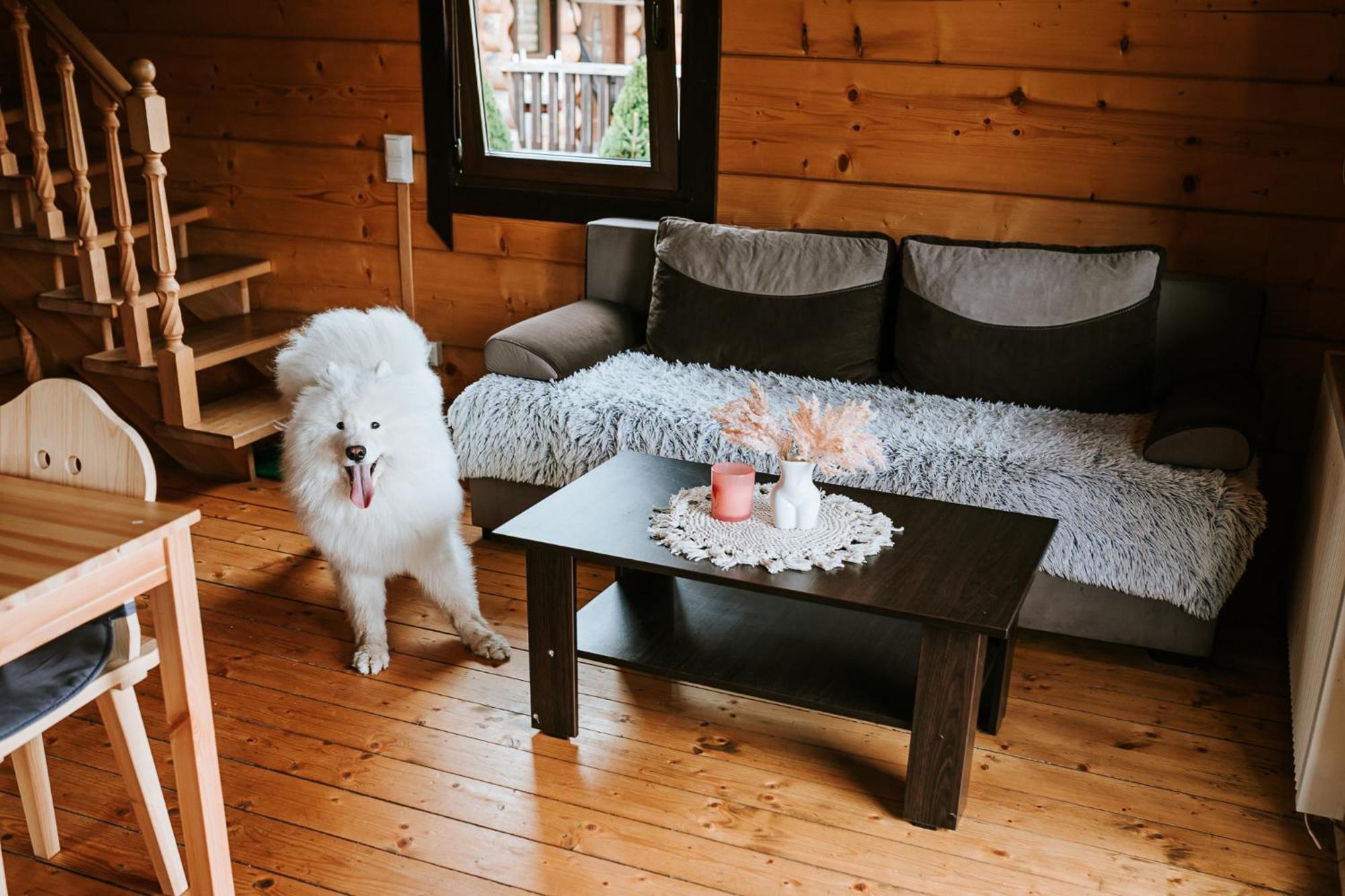 Domki,,Chatki Goralskie " Rabka-Zdrój Dış mekan fotoğraf