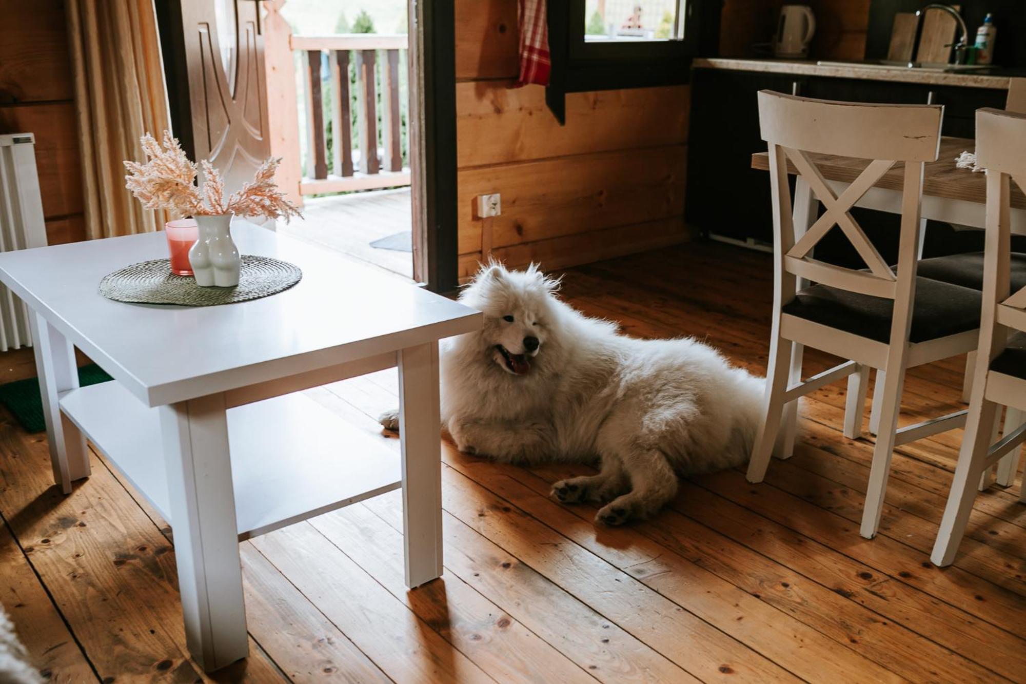 Domki,,Chatki Goralskie " Rabka-Zdrój Dış mekan fotoğraf